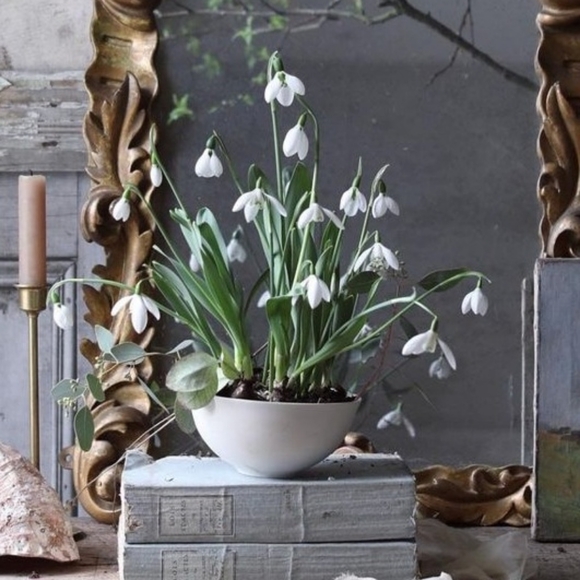 Meet your Posher, Krissy - Picture 1 of 1